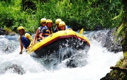 Flowing the adrenaline on rive,Bali 2 Combined Tours,Rafting and Elephant Ride