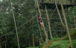 Alas Harum Agrotourism, Flying Fox