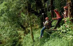 Alas Harum Agrotourism, Fun adventures, Flying Fox Activity