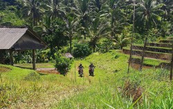 Tabanan Half Days Trails, Paddy Fields Riding