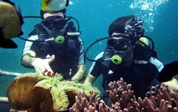 Diving Activities by BMR, Bali Diving, Fun Dive