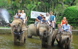 Rafting, Elephant Ride & ATV Riding, Fun ride on the elephant