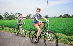 Fun kids on the bike image, Cycling, Elephant Ride & Spa Package, Bali 3 Combined Tours