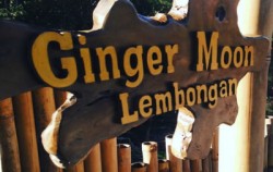 Lembongan One Night Package by Lembongan Trip, Ginger Moon Restaurant