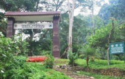 Bukit Lawang and Lake Toba Tour 6 Days, Taman Nasional Gunung Leuser