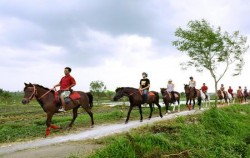 Ride through rice fields