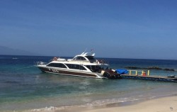 Idola Express - Fastboat image, Idola Express, Nusa Penida Fast boats