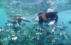  image, Lombok Daily Tours, Lombok Adventure