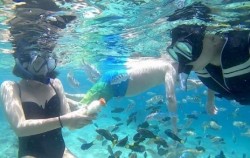 ,Lombok Adventure,Lombok Daily Tours