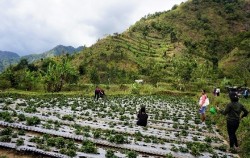 Lombok Daily Tours, 