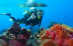 ,Bali Diving,Snorkeling for Certified Divers