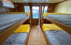 Share Cabin image, Open Trip Komodo 3D2N by KLM Asterix, Komodo Open Trips