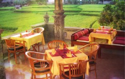 Indian Delites in Ubud image, Bali Indian Food, Bali restaurants