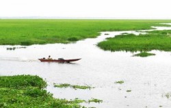 Jempang Lake image, Orangutan and Dayak Tour 6 Days 5 Nights, Borneo Island Tour