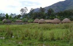 Jayapura-Wamena-Kurima Tour 6 Days and 5 Nights, Papua Adventure, Jiwika Village