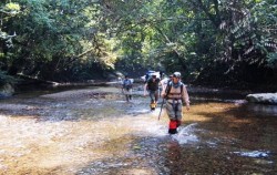 Jungle Trekking image, Borneo Overland Trip I 8 Days 7 Nights, Borneo Island Tour