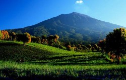 Kerinci Seblat National Park