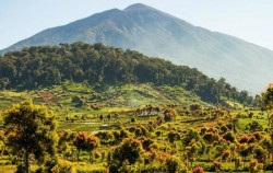 Kerinci Seblat National Park Tour 6 Days 5 Nights, Kerinci Seblat National Park