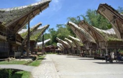 TORAJA CULTURE AND NATURE TOUR  3 Days / 2 Nights, Kete - Kesu Village