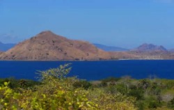 Komodo Tour Package 6D5N, Komodo Adventure, Komodo Island