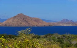 Komodo Island