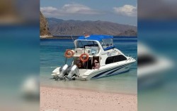 ,Komodo Open Trips,Komodo Fantastico Tour 3D/2N Sharing by Speed Boat