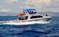 Komodo Fantastico Tour 3D/2N Sharing by Speed Boat, 