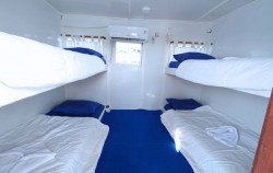 Open Trip by La Dyana Liveaboard, Share Cabin