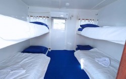 Share Cabin,Komodo Boats Charter,Private Trip Komodo by La Dyana Liveaboard