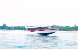 Lembongan Paradise Cruise image, Lembongan Paradise Cruise, Lembongan Fast Boats