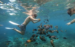 Snorkeling image, Lembongan Snorkeling Packages by Lembongan Trip, Lembongan Package