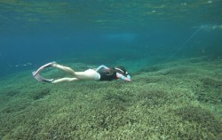 Lembongan Snorkeling Packages by Lembongan Trip, Snorkeling