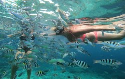 Snorkeling,Lembongan Package,Lembongan Snorkeling Packages by Lembongan Trip