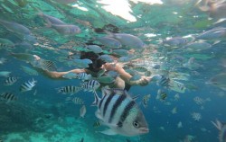 Lembongan Snorkeling Packages by Lembongan Trip, Snorkeling