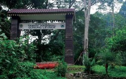 Leuser National Park