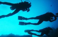 Diving Activities