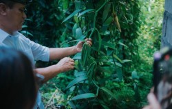 Vanilla Tour,Bali Wellness Retreats,Well Being Tours by Dwaraloka Authentic