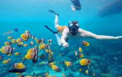 Nusa Penida Snorkeling Private Trip from Lembongan, Snorkeling At Gamat Bay