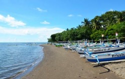 Lovina Beach,Bali Dolphins Tour,Dolphins Watching Tour at Lovina