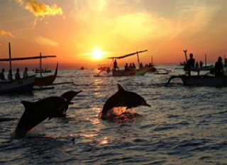 Sunrise with Dolphin