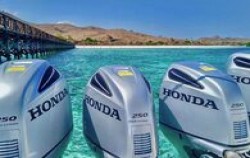 Full Day Open Trip Komodo by Speed boat, Hope Machine