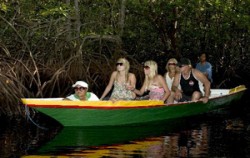 Full Day Cruise Package by Scoot Fast Cruise, Mangrove Lembongan