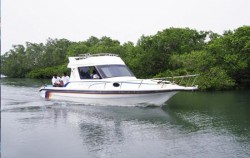 Mangrove Jungle Tour, Benoa Marine Sport, Mangrove Tour