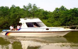 Mangrove Jungle Tour,Benoa Marine Sport,Mangrove Jungle Tour