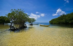 Overnight Combo by Lembongan Trip, Mangrove Point Lembongan