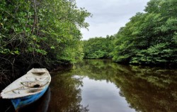 Mangrove Tour image, Lembongan One Night Package by Lembongan Trip, Lembongan Package