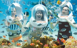 Walk under the sea image, Bali Marine Walk, Lembongan Package