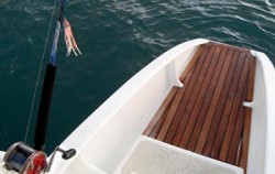 Bali Marine Sports Tanjung Benoa, Benoa Marine Sport, Fishing