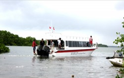 Marlin Cruiser Boat,Lembongan Fast boats,Marlin Fast Cruise