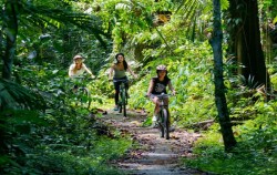 Forest Terrain,Fun Adventures,Adventures Packages by The Mason Adventure